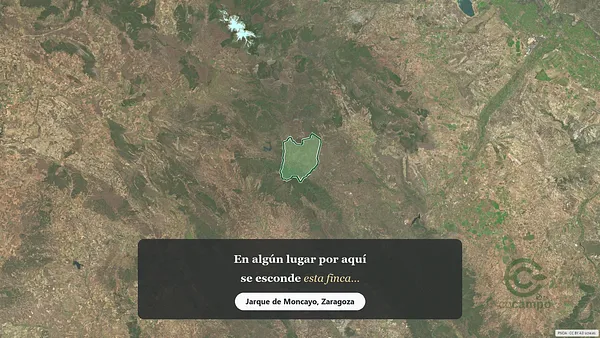 Spot image