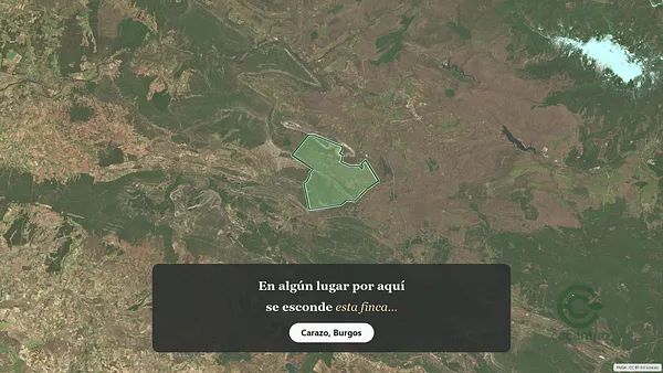 Spot image