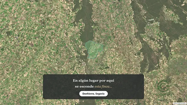 Spot image