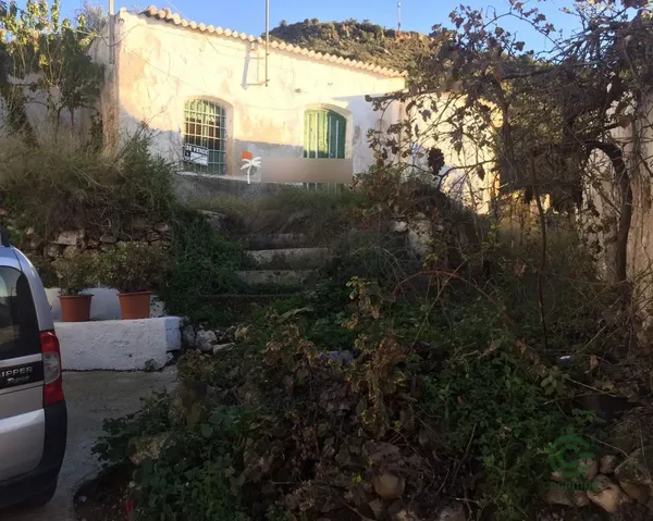 Spot image