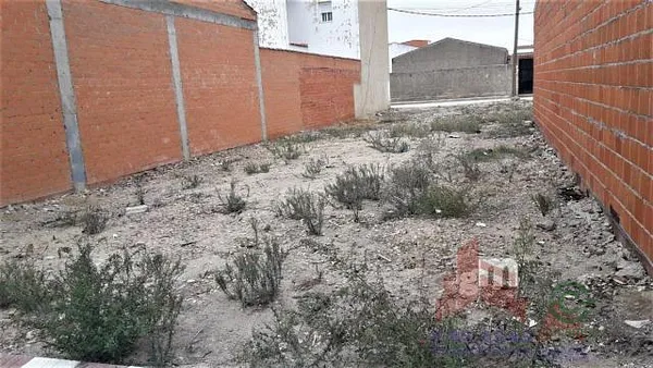Spot image