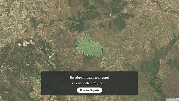 Spot image