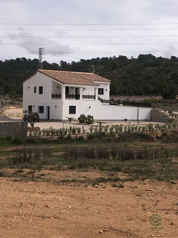 Spot image