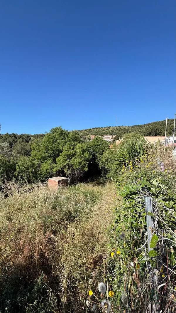 Spot image