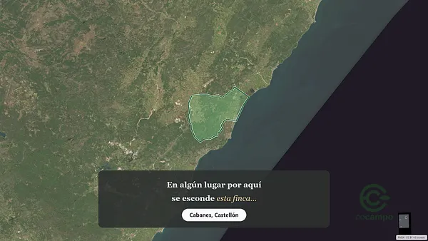 Spot image