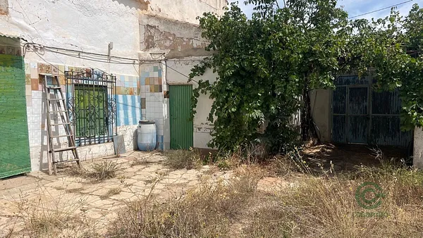 Spot image