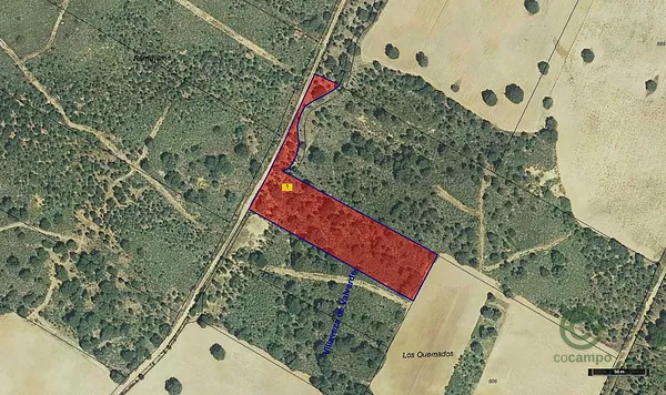 Finca rústica de 0,79 ha en venta en Villaveza de Valverde, Zamora