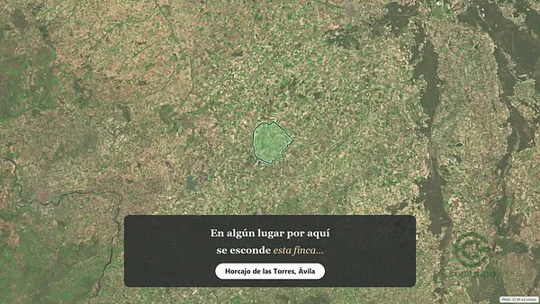 Spot image