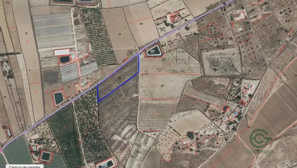 Spot image