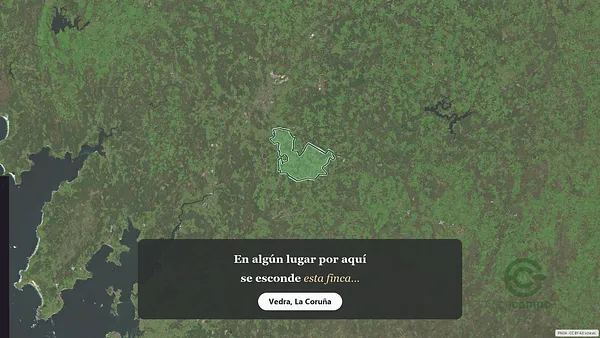 Spot image