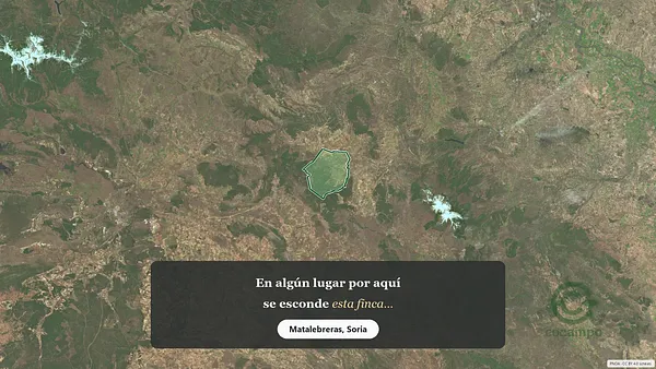Spot image