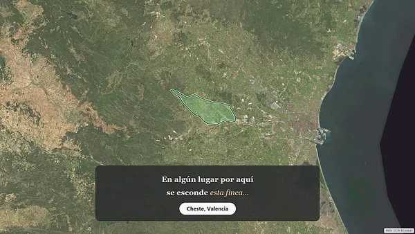 Spot image