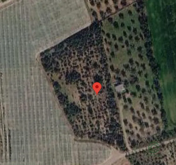Spot image
