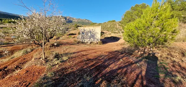 Spot image
