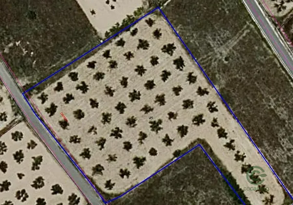Spot image