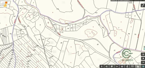 Spot image