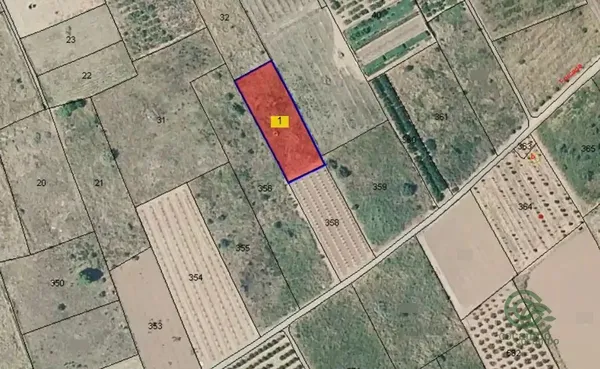 Spot image