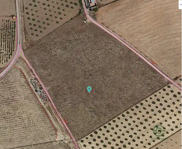 Spot image