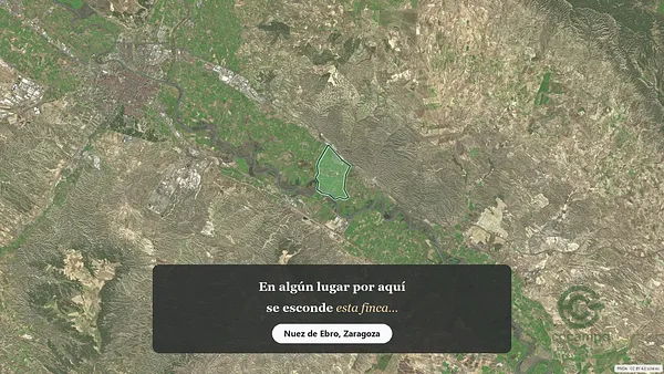 Spot image