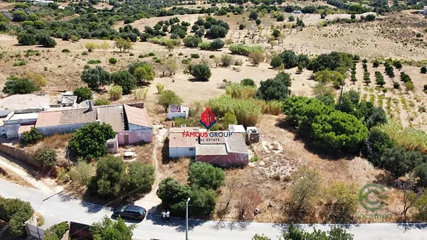 Spot image