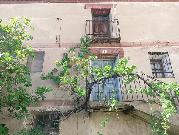 Spot image