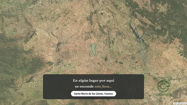 Spot image