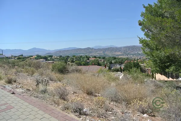 Spot image