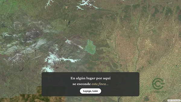 Spot image
