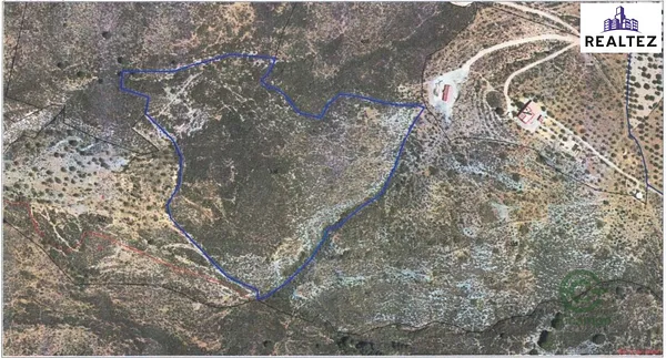 Spot image