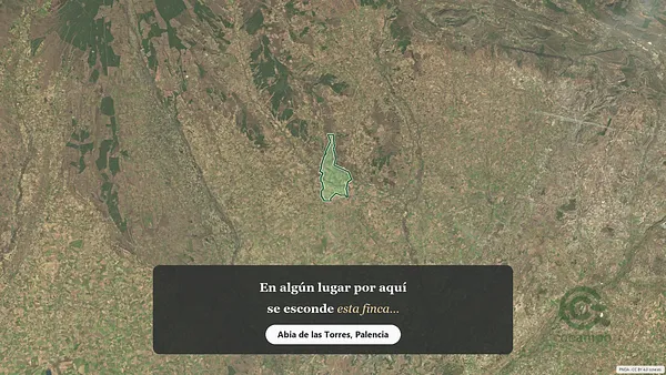 Spot image