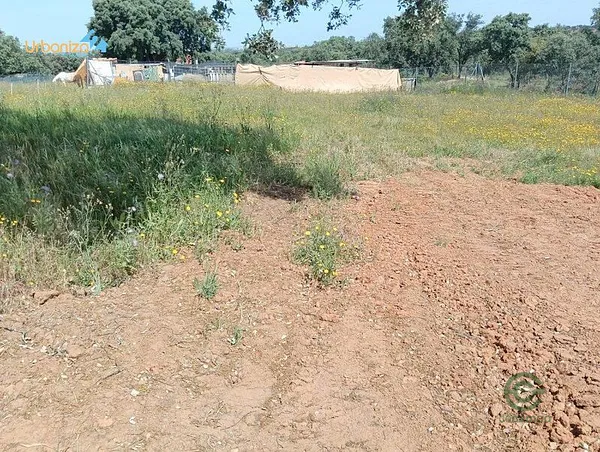 Terreno urbano de 0,06 ha en venta en Badajoz, Badajoz