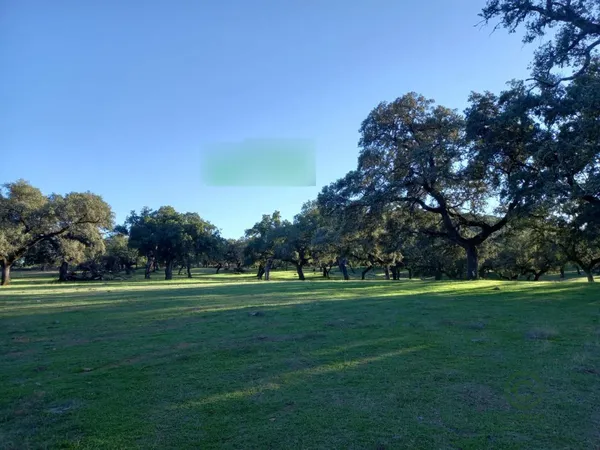 Finca rústica de 1 ha en venta en Bodonal de la sierra, Badajoz