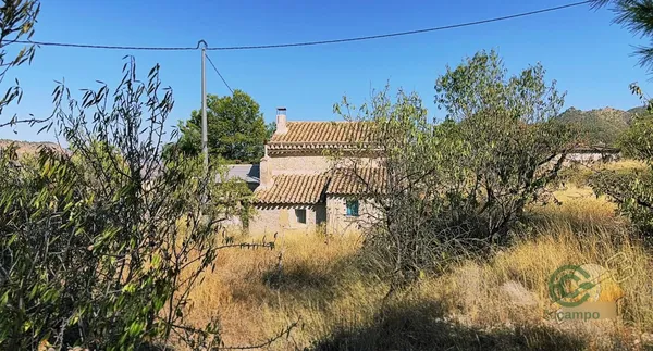 Spot image