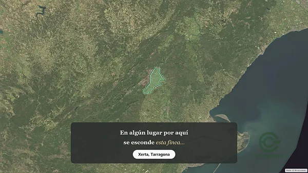 Spot image