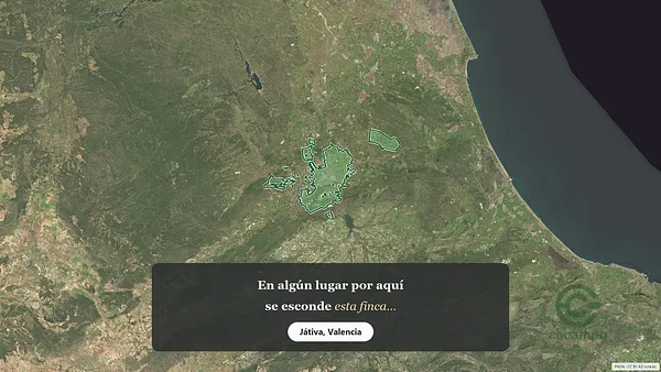 Spot image
