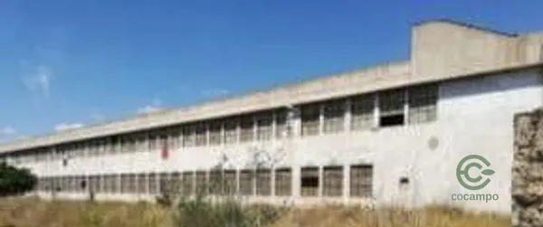 Spot image