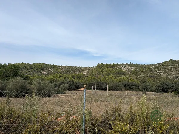 Finca rústica de 1,76 ha en venta en Alcalali, Alicante