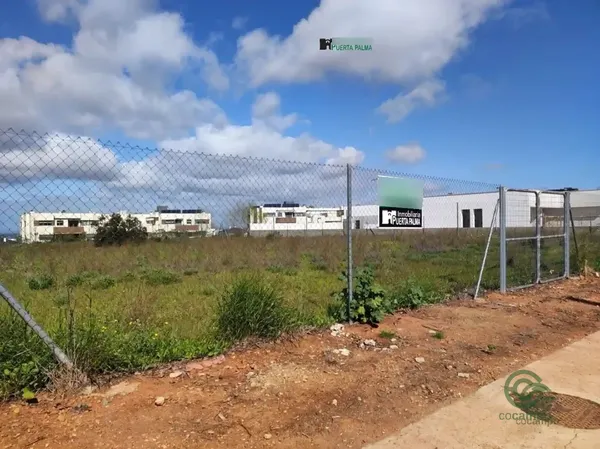 Spot image
