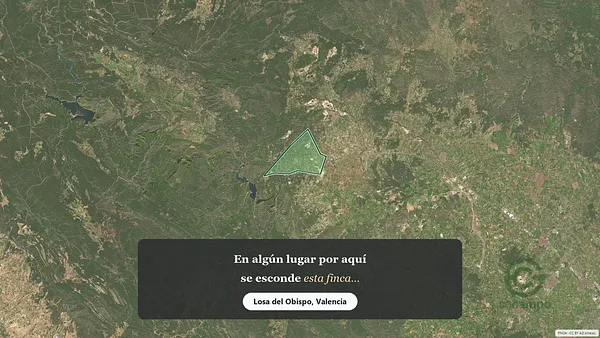 Spot image