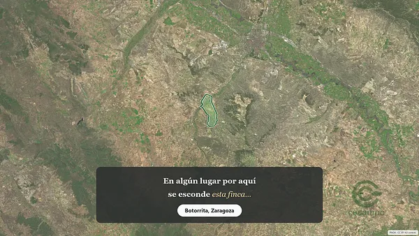 Spot image