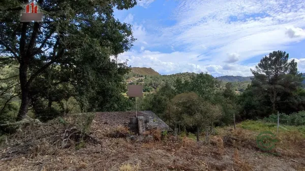Finca agrícola de 0,0474 ha en venta en Castro de beiro, Orense