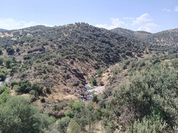 Spot image