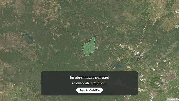 Spot image