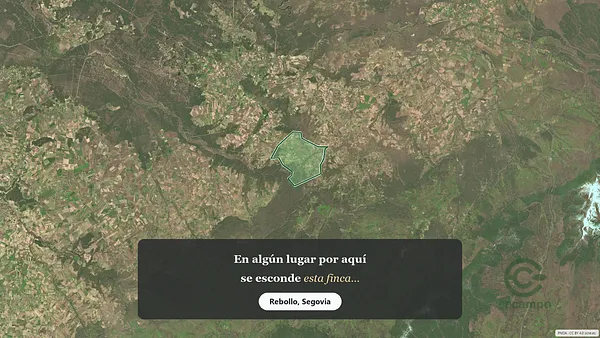 Spot image
