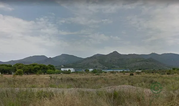 Spot image