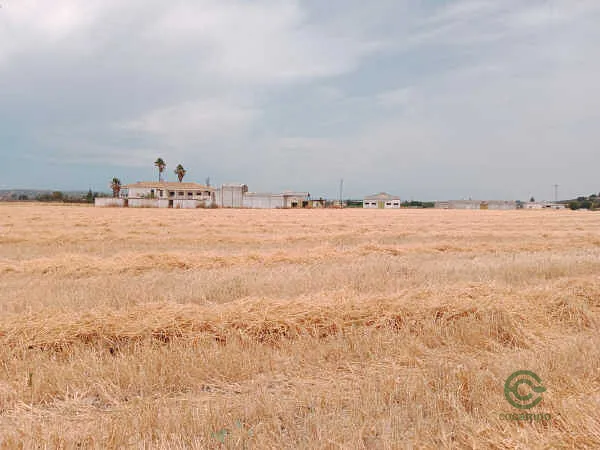 Finca rústica de 11,02 ha en venta en Bujalance, Córdoba