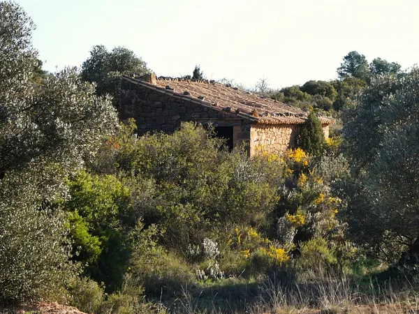 Spot image