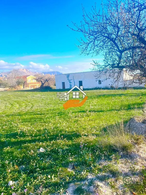 Spot image