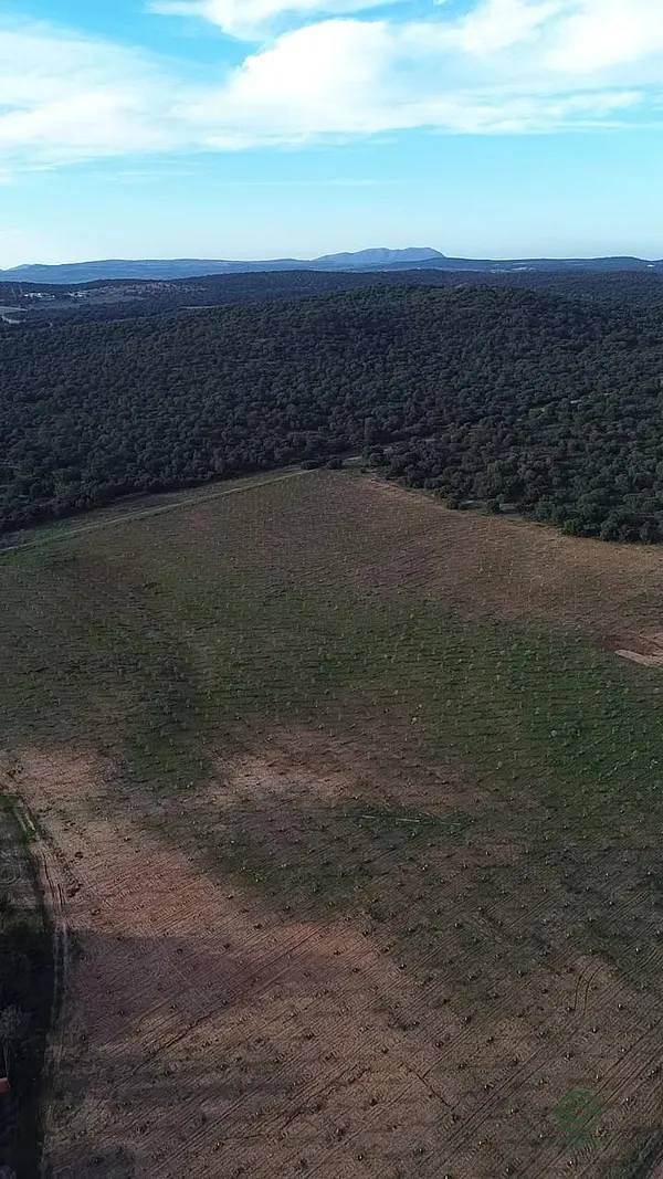 Finca rústica de 30 ha en venta en Ronda, Malaga