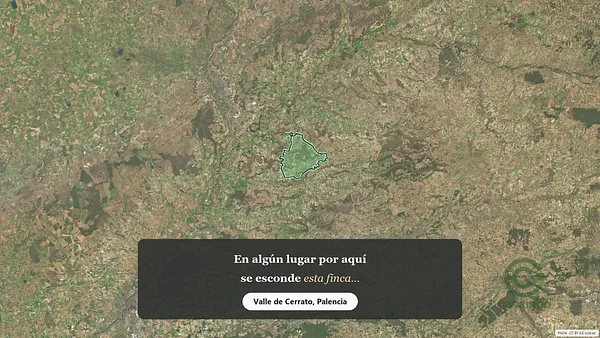 Spot image
